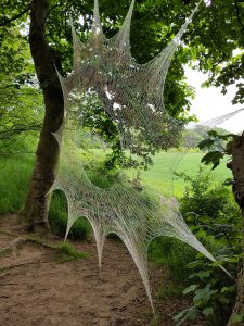 Web between the trees